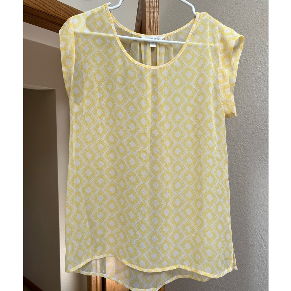 Charming Charlie Sheer Blouse